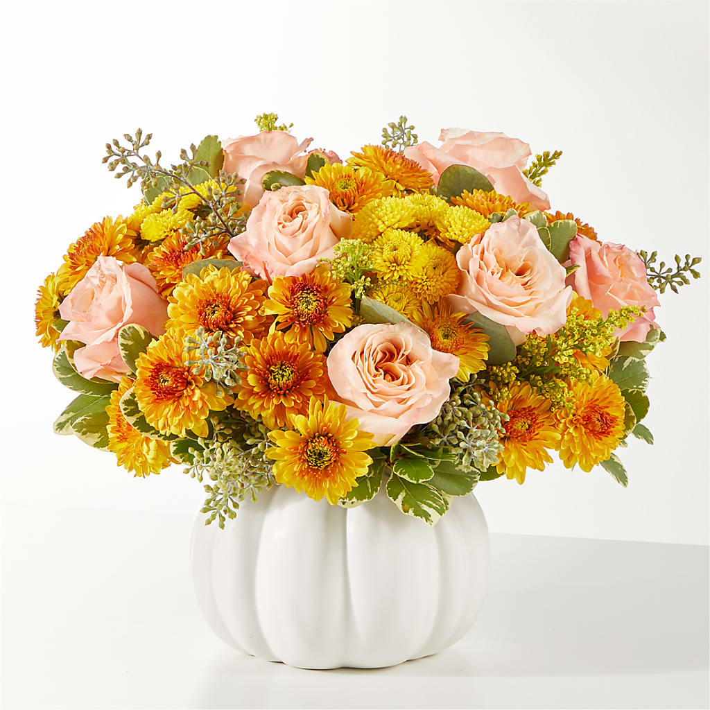 Peachy Pumpkin – Blue Ridge Flowers, Blue Ridge GA
