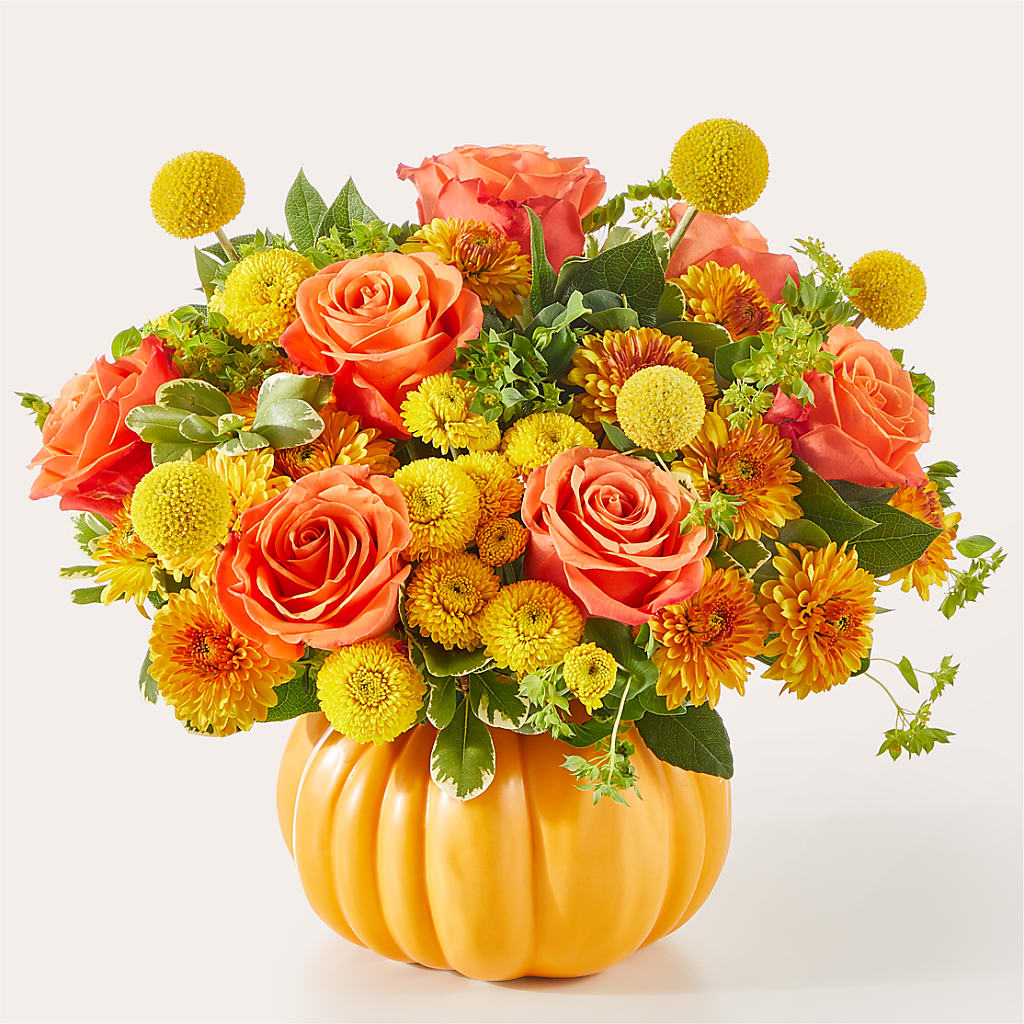 Gourdgeous Pumpkin – Blue Ridge Flowers, Blue Ridge GA