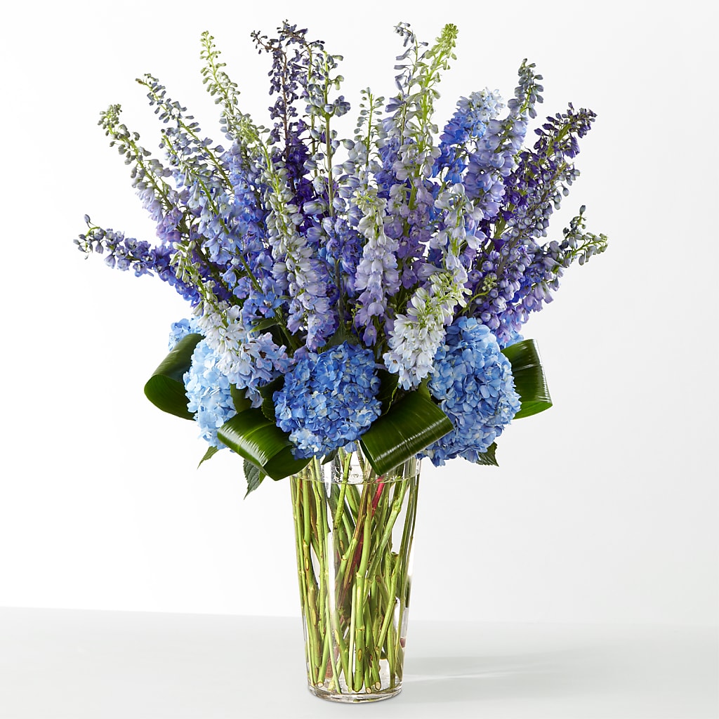 The Editorial – Blue Ridge Flowers, Blue Ridge GA