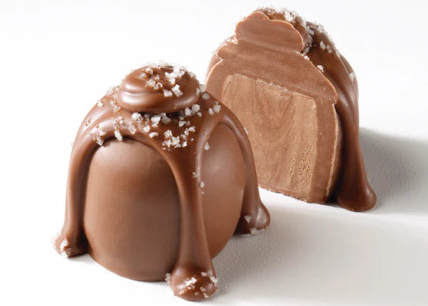Dark Chocolate Caramel Truffle