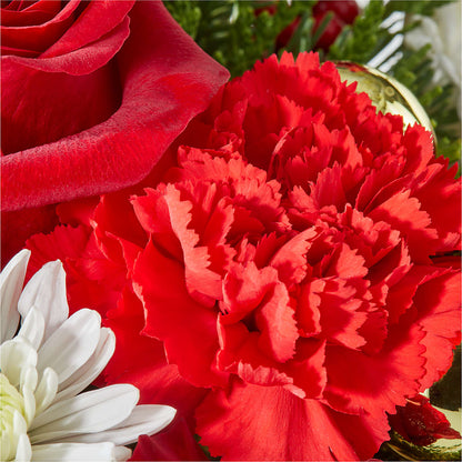 Merry Magic Nutcracker –  Blue Ridge Flowers, Blue Ridge GA