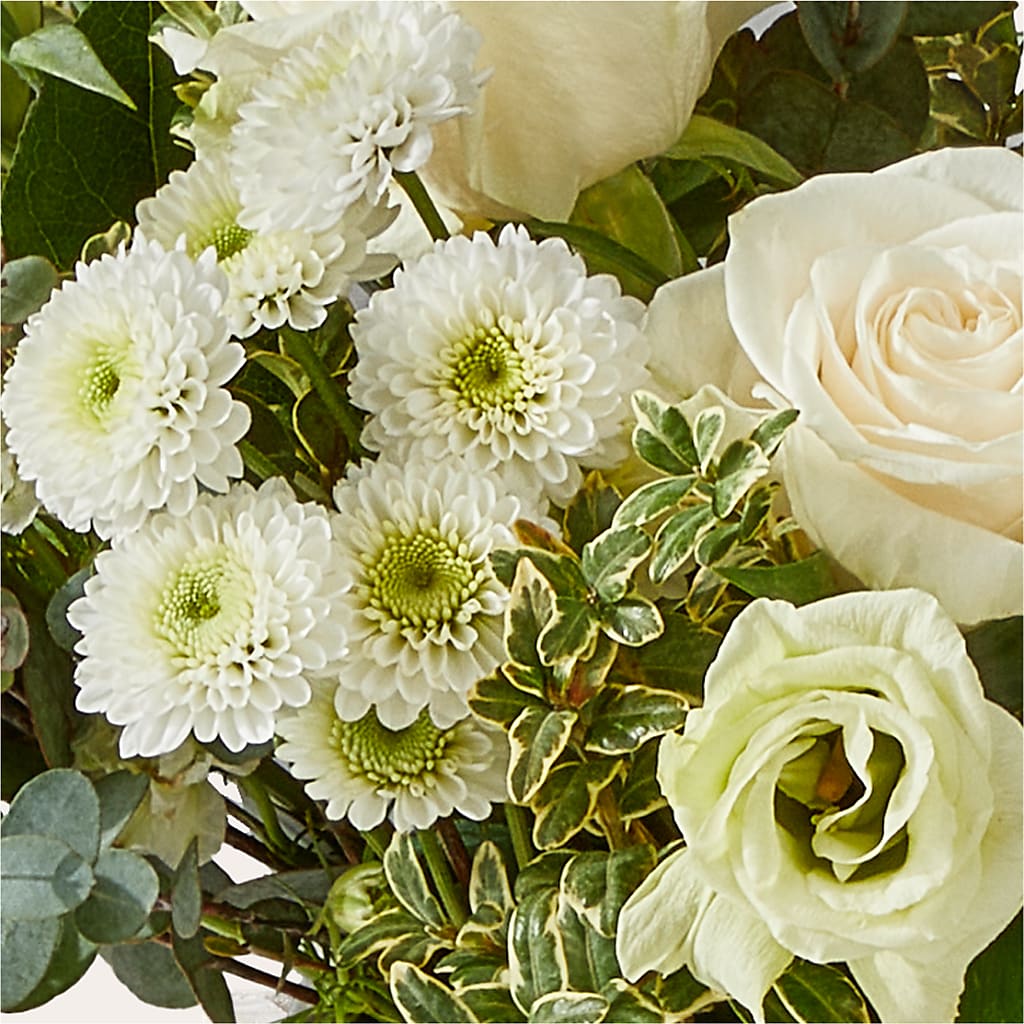 Cashmere Bouquet –  Blue Ridge Flowers, Blue Ridge GA