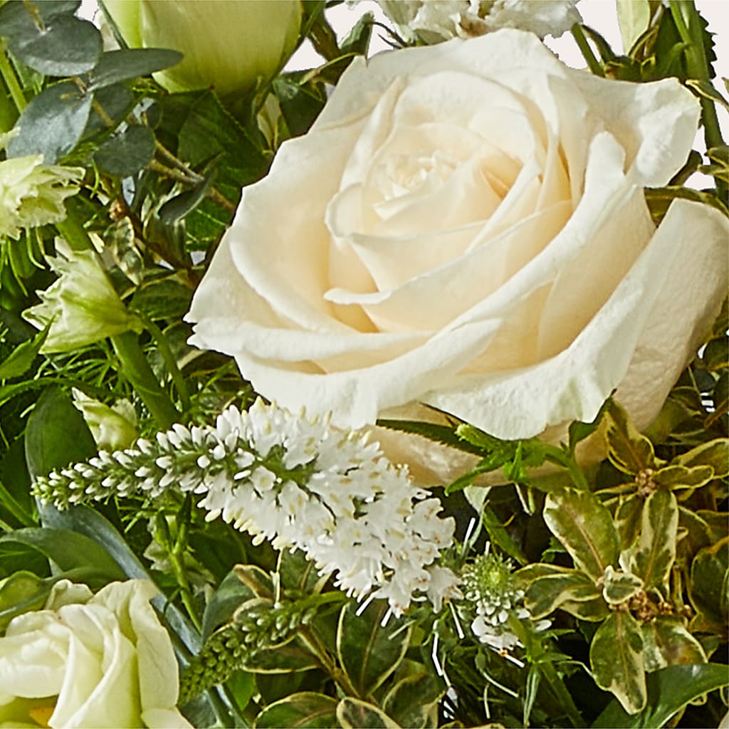 Cashmere Bouquet –  Blue Ridge Flowers, Blue Ridge GA