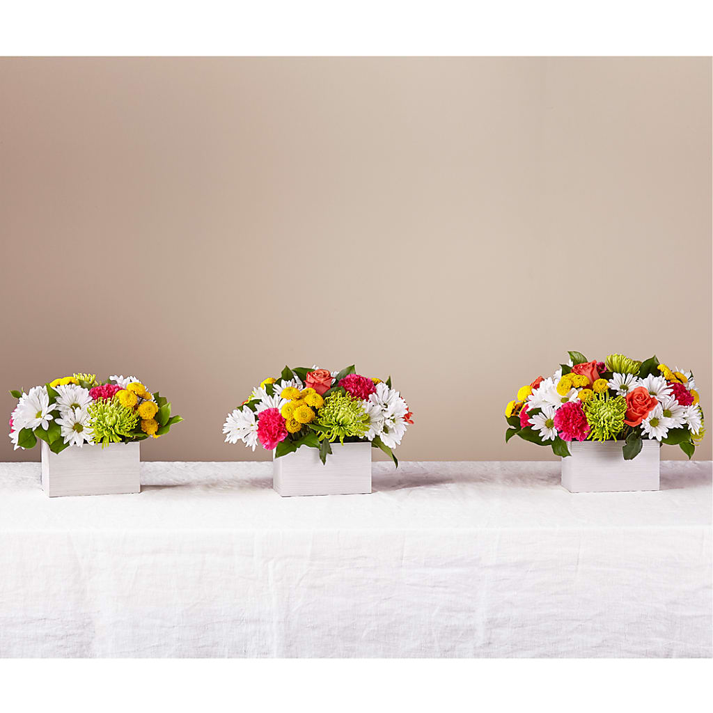 Sorbet Bouquet –  Blue Ridge Flowers, Blue Ridge GA