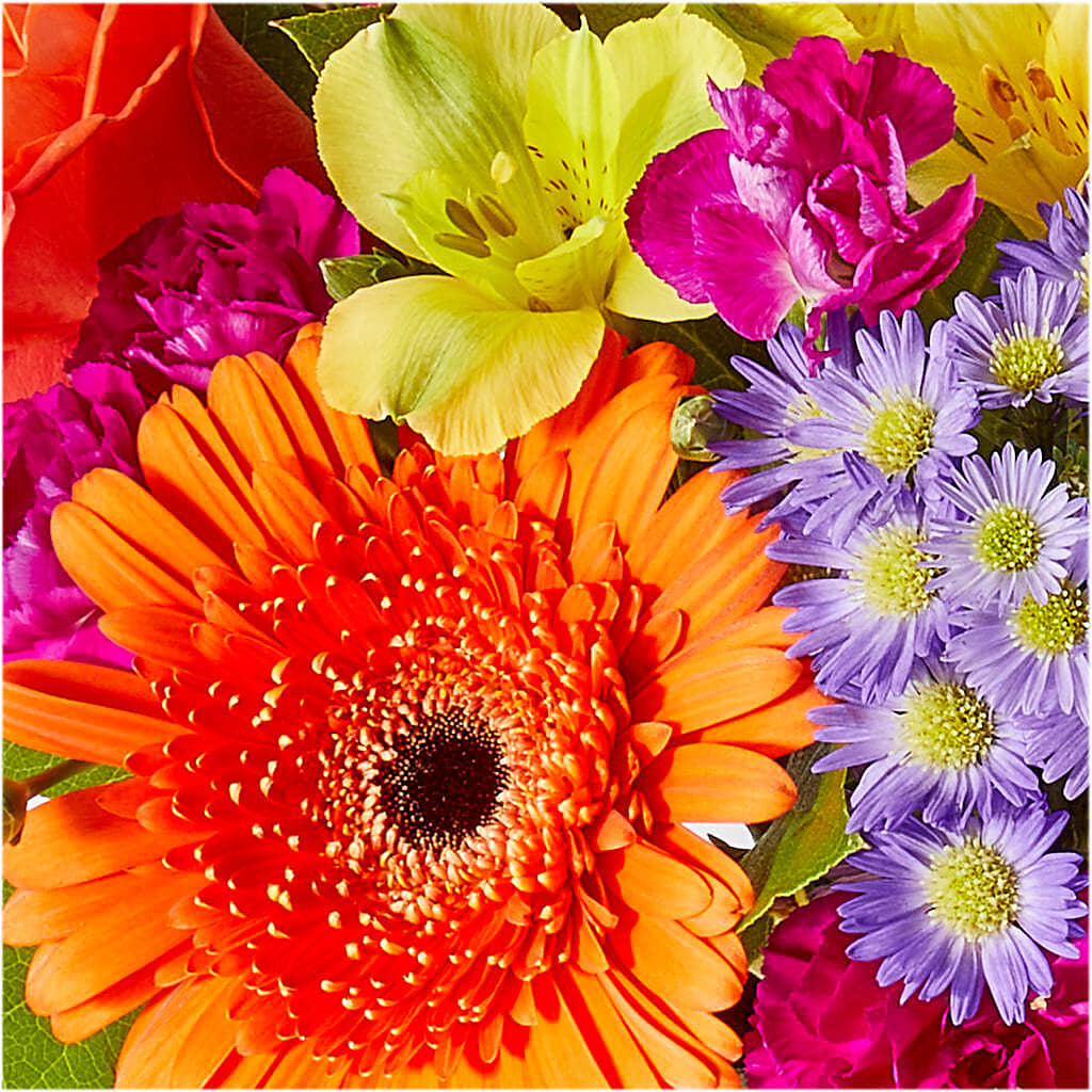 Tricks & Treats Pumpkin –  Blue Ridge Flowers, Blue Ridge GA