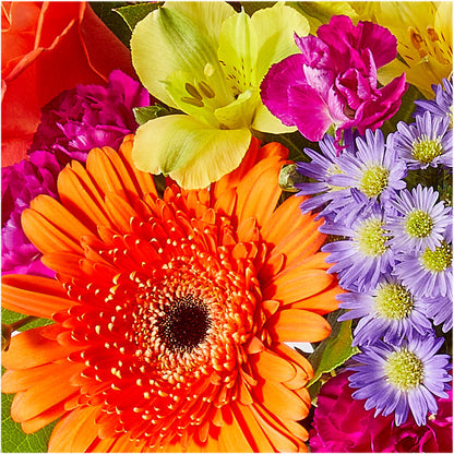 Tricks & Treats Pumpkin –  Blue Ridge Flowers, Blue Ridge GA