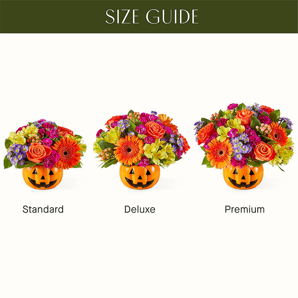 Tricks & Treats Pumpkin –  Blue Ridge Flowers, Blue Ridge GA