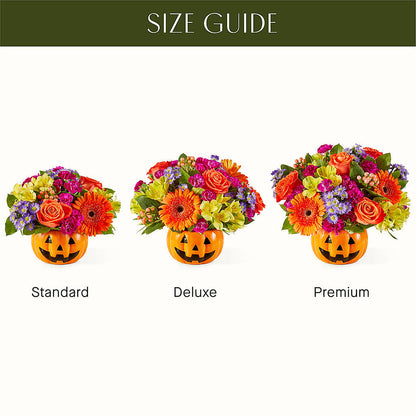 Tricks & Treats Pumpkin –  Blue Ridge Flowers, Blue Ridge GA