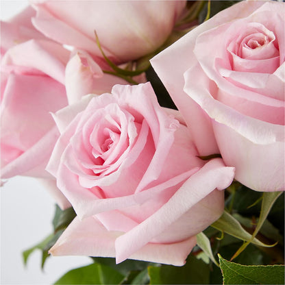Picture Perfect Pink Rose Bouquet –  Blue Ridge Flowers, Blue Ridge GA