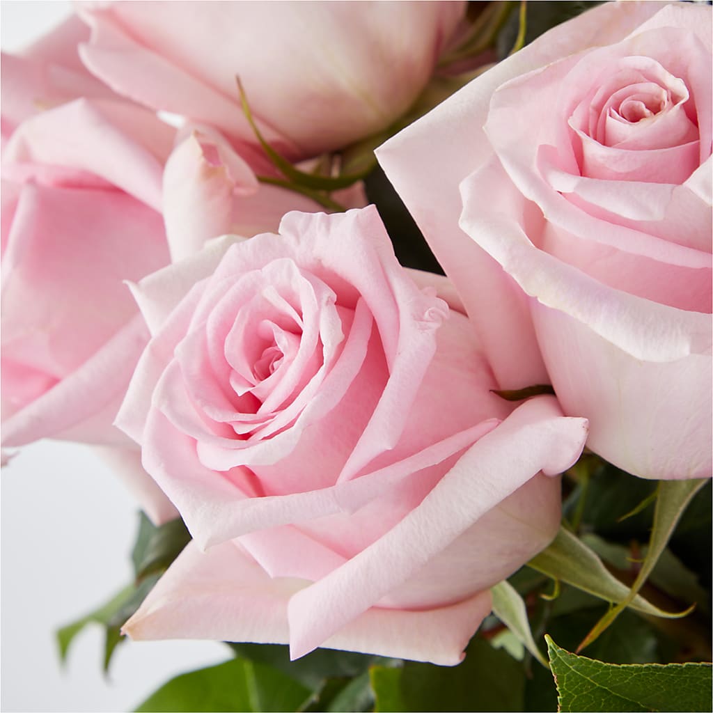 Picture Perfect Pink Rose Bouquet –  Blue Ridge Flowers, Blue Ridge GA