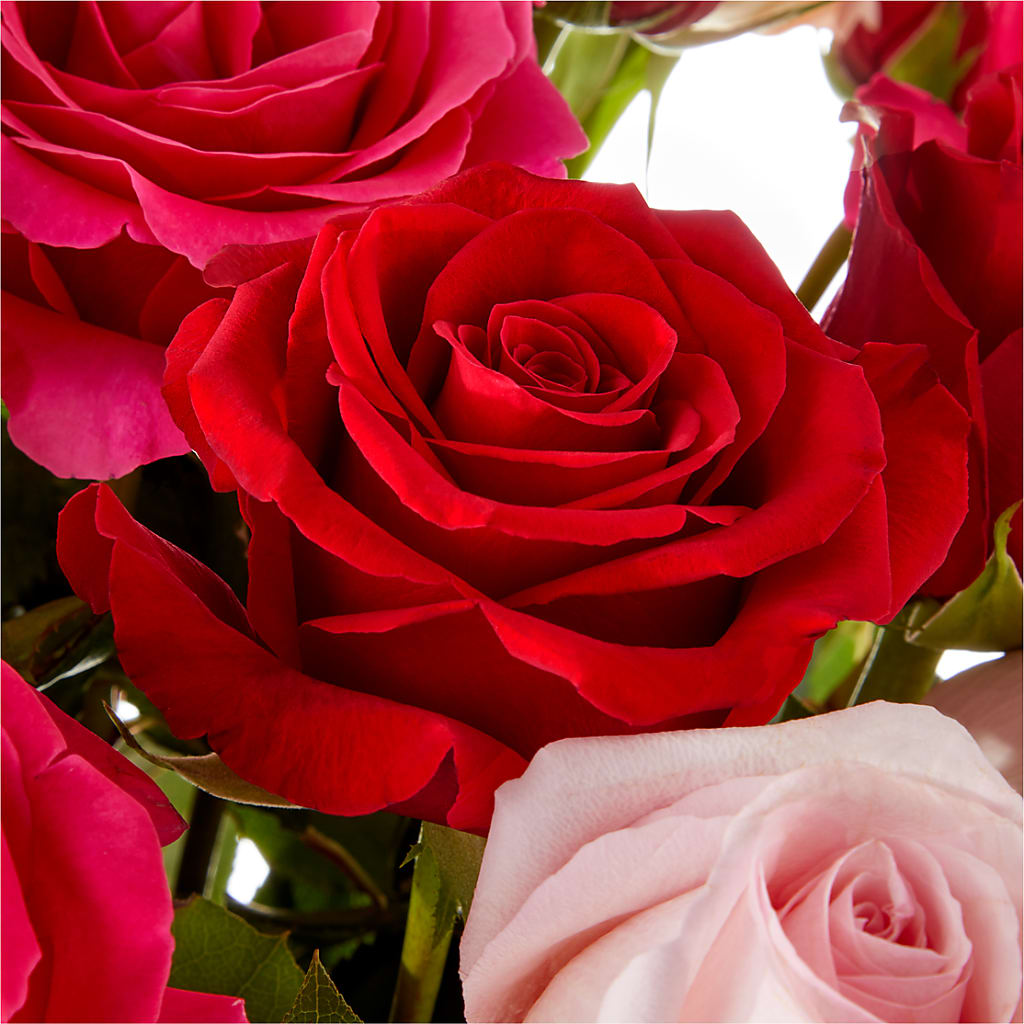 Love Notes Rose Bouquet –  Blue Ridge Flowers, Blue Ridge GA