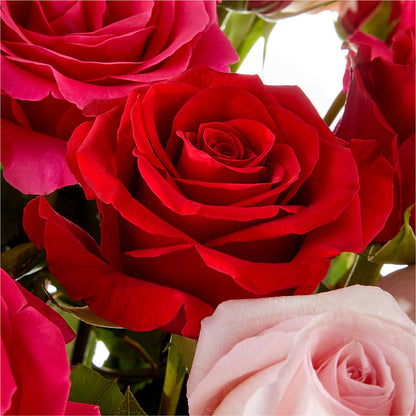 Love Notes Rose Bouquet –  Blue Ridge Flowers, Blue Ridge GA