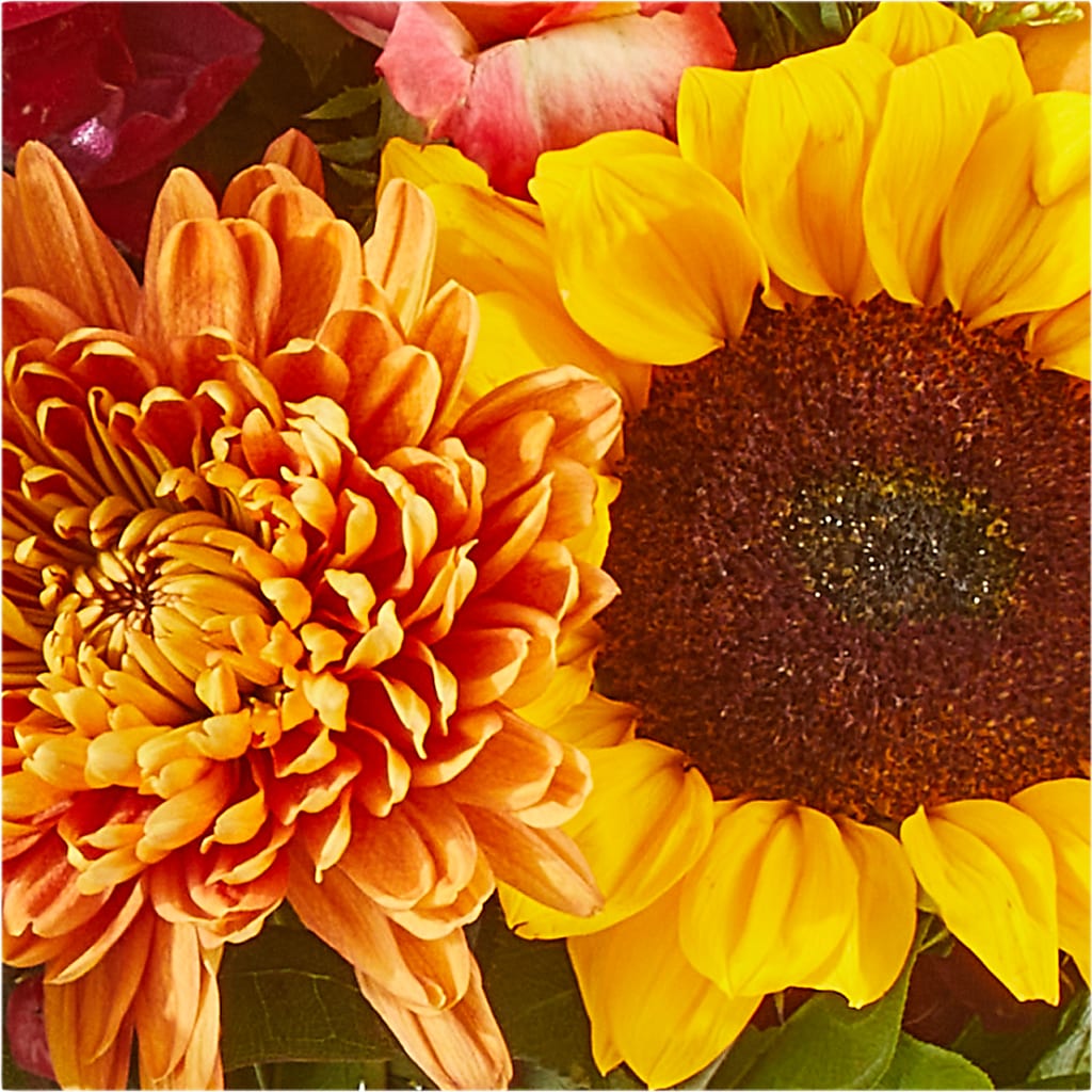 Seasons Change Bouquet –  Blue Ridge Flowers, Blue Ridge GA