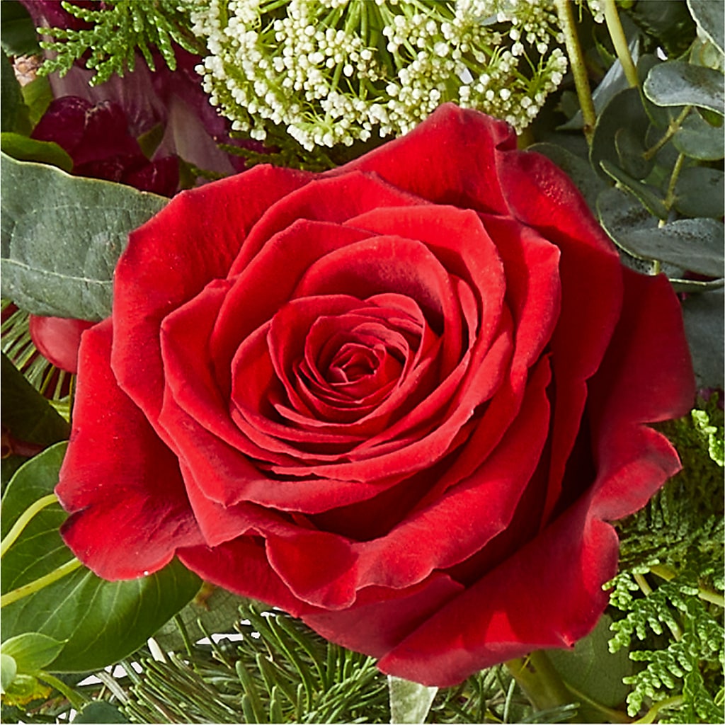 Cranberry Fizz Bouquet –  Blue Ridge Flowers, Blue Ridge GA