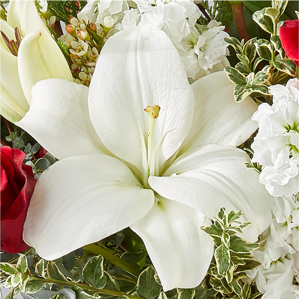 Twinkle Lights Bouquet –  Blue Ridge Flowers, Blue Ridge GA