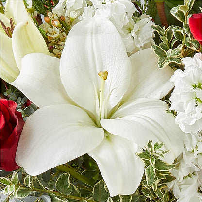 Twinkle Lights Bouquet –  Blue Ridge Flowers, Blue Ridge GA