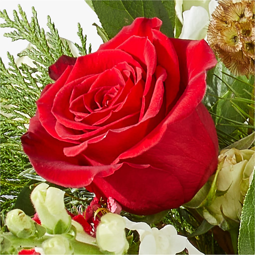 Deck the Halls Bouquet –  Blue Ridge Flowers, Blue Ridge GA