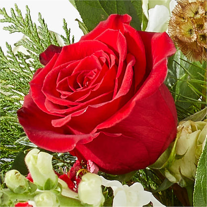 Deck the Halls Bouquet –  Blue Ridge Flowers, Blue Ridge GA