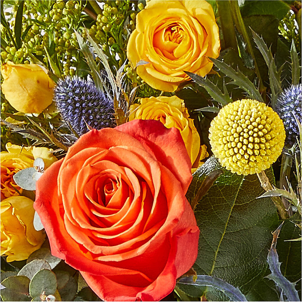 Disco Bouquet –  Blue Ridge Flowers, Blue Ridge GA