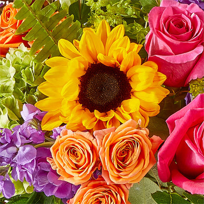 Vibrant Greetings Bouquet –  Blue Ridge Flowers, Blue Ridge GA