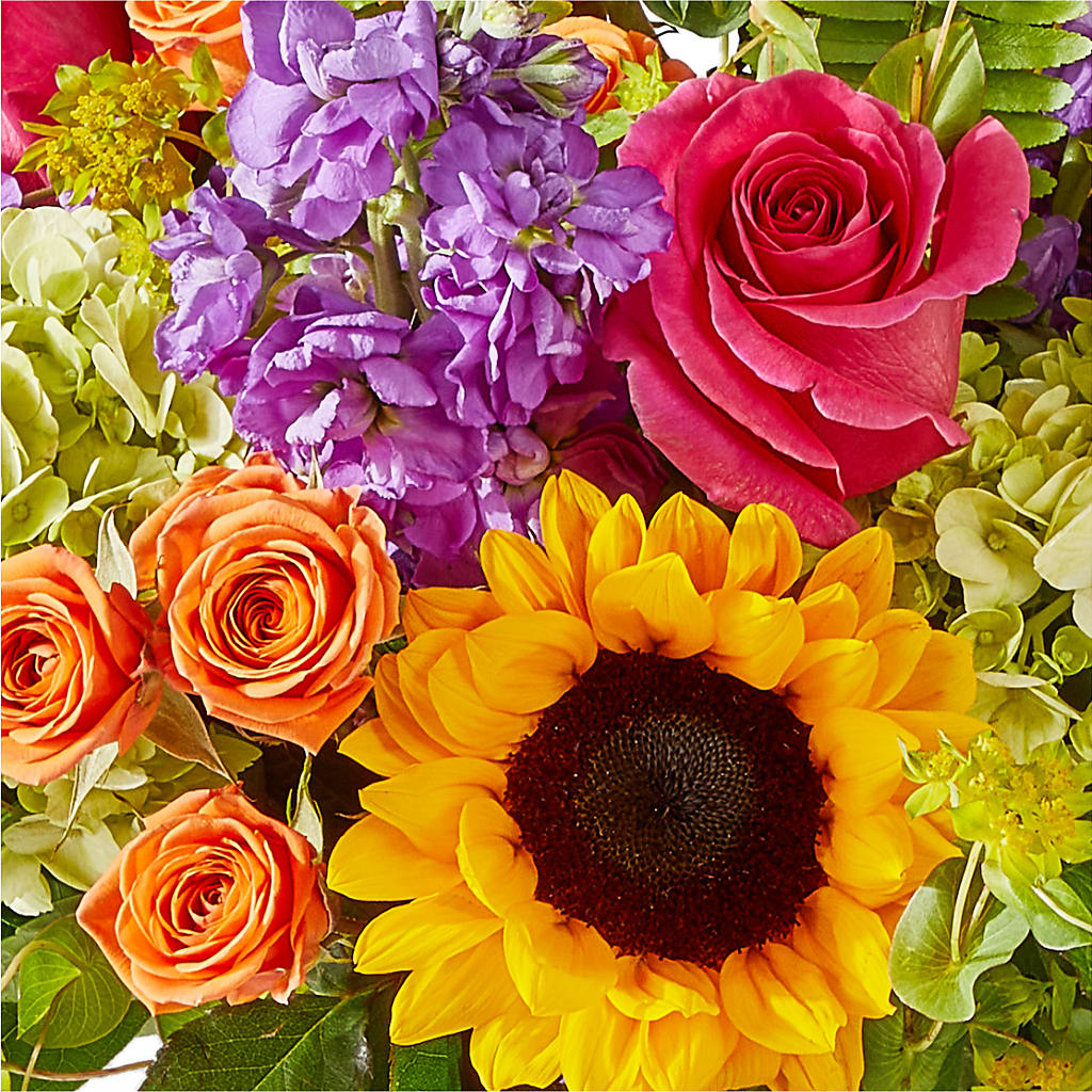 Vibrant Greetings Bouquet –  Blue Ridge Flowers, Blue Ridge GA