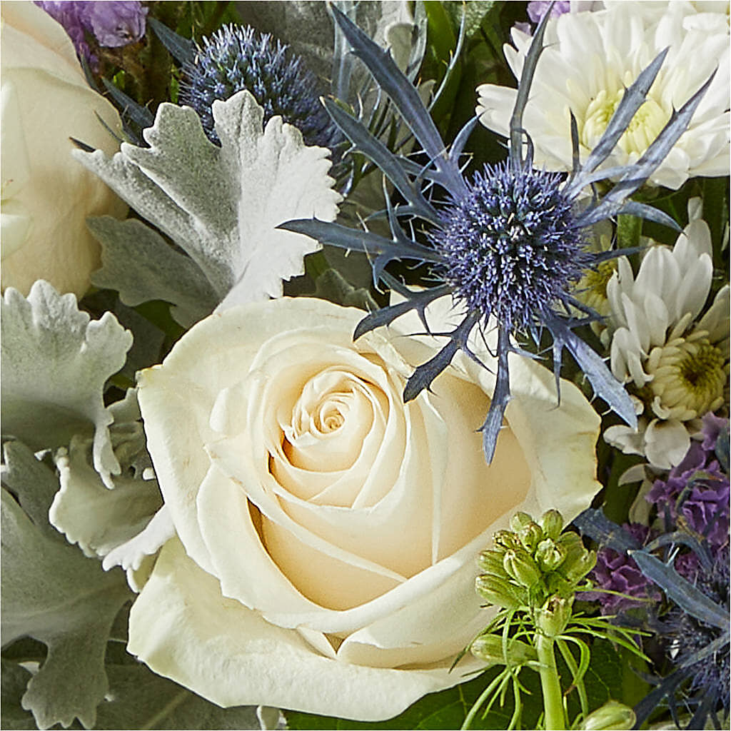 Shooting Star Bouquet –  Blue Ridge Flowers, Blue Ridge GA