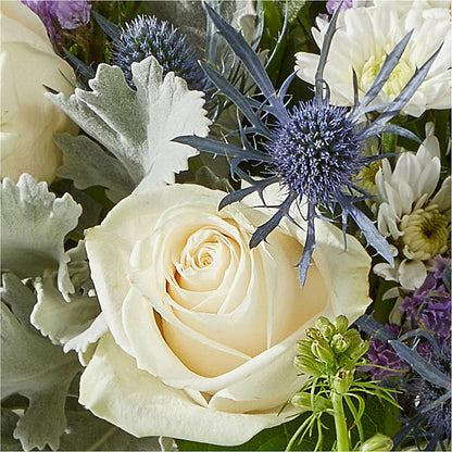 Shooting Star Bouquet –  Blue Ridge Flowers, Blue Ridge GA