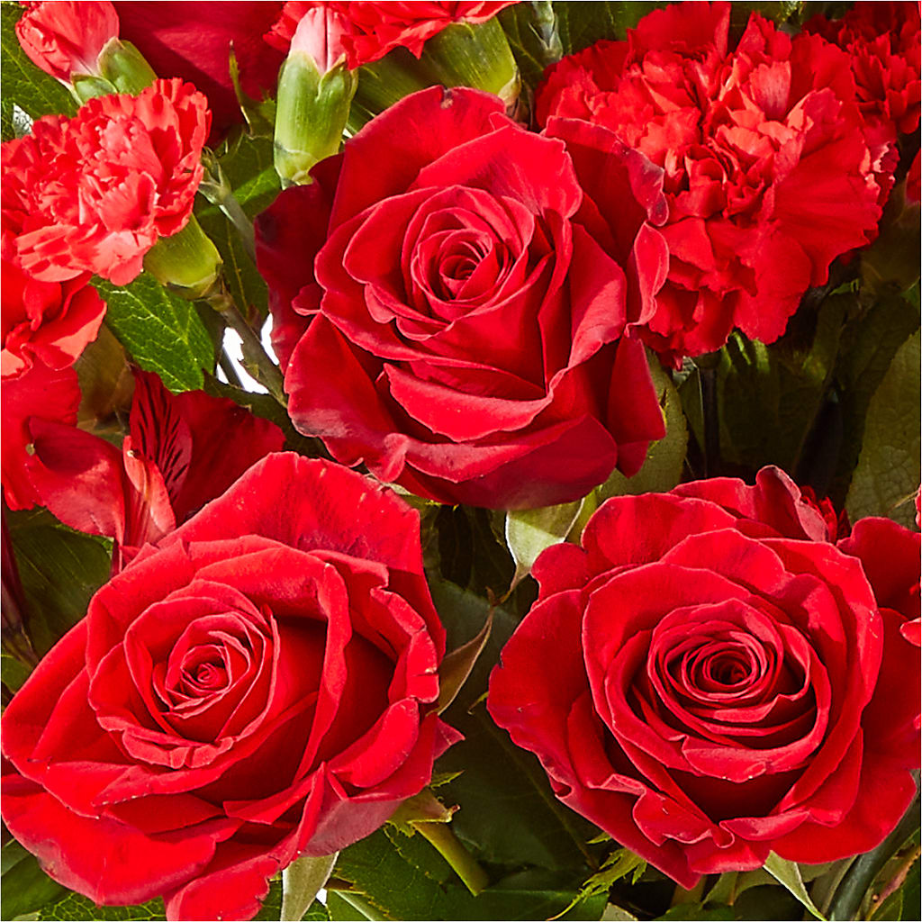 The Heartstrings Bouquet –  Blue Ridge Flowers, Blue Ridge GA