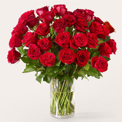 The One Red Rose Bouquet –  Blue Ridge Flowers, Blue Ridge GA